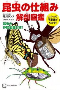 昆虫の仕組み解剖図鑑 ムシたちの不思議がわかる! / 堀川ランプ 【本】