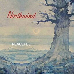 Northwind / Peaceful 【LP】