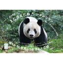 また会えたね!シャンシャン ~「毎日パンダ」のはるばる中国旅~ / 高氏貴博 【本】