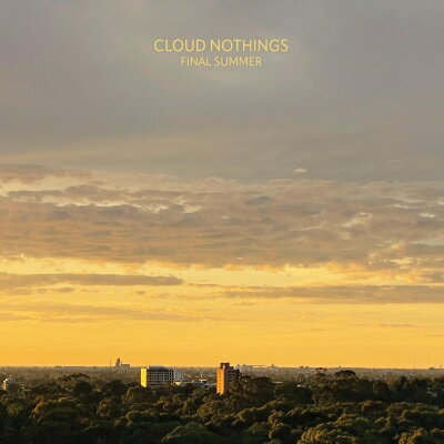 Cloud Nothings クラウドナッシングス / Final Summer (アナログレコード) 【LP】