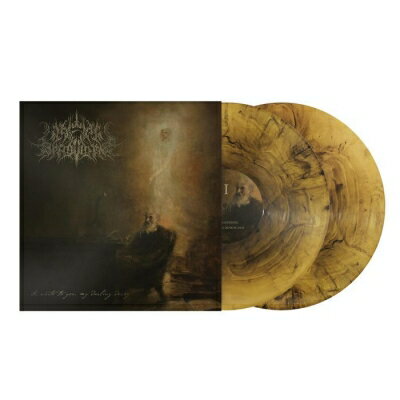 Wake In Providence / I Write To You, My Darling Decay 【LP】