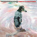 【輸入盤】 Pure Reason Revolution / Coming Up To Consciousness 【CD】