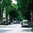 Straightener ストレイテナー / The Ordinary Road 【初回限定盤B】(+Blu-ray) 【CD】