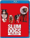スラムドッグス 【BLU-RAY DISC】