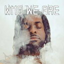 Ashley Henry / Who We Are (2枚組アナログレコード) 【LP】