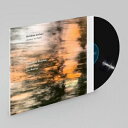 Avishai Cohen (Tp) アビシャイコーエン / Ashes To Gold 【LP】