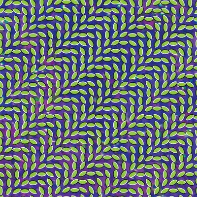 Animal Collective アニマルコレクティブ / Merriweather Post Pavilion 【CD】
