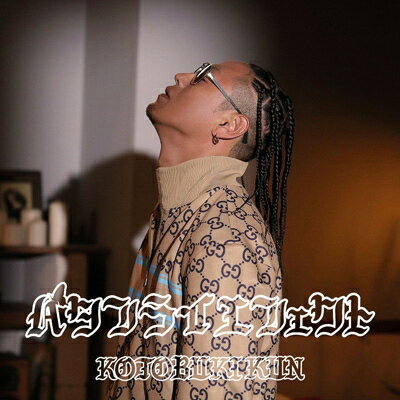 寿君 / Butterfly Effect 【CD】