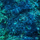 青葉市子 アオバイチコ / Luminescent Creatures 【CD】