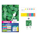 BEAUSTA(ビュースタ) 【数量限定】デュアルフォーミュラマスク5種+シカマスクセット