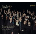 【輸入盤】 Bruckner ブルックナー / モテット集 ヨハネス・ヒーメツベルガー&シネ・ノミネ合唱団、マルティン・ハーゼルベック 【CD】