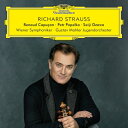 Strauss, R. シュトラウス / ヴァイオリン協奏曲、英雄の生涯、カプリッチョ前奏曲、他 ルノー・カプソン、ポペルカ&ウィーン響、小澤征爾&マーラー・ユ...