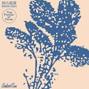 菅谷昌弘 / Pocket Of Fever (アナログレコード) 【LP】