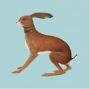 Vashti Bunyan バシュティバニヤン / Lookaftering (2枚組アナログレコード) 【LP】
