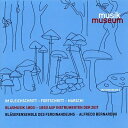 【輸入盤】 歴史的楽器で奏でる1800〜1850年の吹奏楽作品 アルフレード・ベルナルディーニ&フェルディナンデウム管楽アンサンブル 【CD】