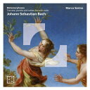 【輸入盤】 Bach, Johann Sebastian バッハ / メタモルフォーゼ〜無伴奏ヴァイオリンとバッハ〜パルティータ 第2番、トッカータとフーガ、無...