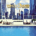 VOCALAND / VOCALAND REBIRTH Extended Mix by TOSHIKI KADOMATSU (アナログレコード) 【LP】