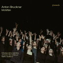Bruckner ブルックナー / モテット集 ヨハネス・ヒーメツベルガー、シネ・ノミネ合唱団、マルティン・ハーゼルベック (アナログレコード) 【LP】