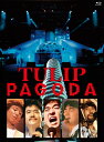 チューリップ / PAGODA〜TULIP LAND IN ASHINOKO 1984.8.11 (Blu-ray) 【BLU-RAY DISC】