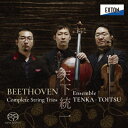 Beethoven ベートーヴェン / 弦楽三重奏曲全集 アンブル天下統一(2SACD) 【SACD】