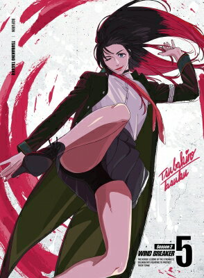 WIND BREAKER Season 2 5 DVDڴǡ DVD