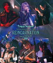 Unlucky Morpheus / 15th Anniversary Live Tour 2024 REINCARNATION Live at TOYOSU ...