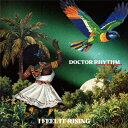 Doctor Rhythm / I Feel It Rising (アナログレコード) 【LP】