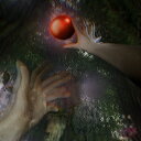 Wanmini / Untranslatable 【CD】
