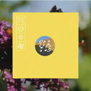 Staying: Leaving Records Aid To Artists Impacted By The Los Angeles Wildfires (2枚組アナログレコード) 【LP】