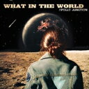 Apollo Junction / What In The World (Dark Green Vinyl) 【LP】