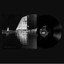 Galya Bisengalieva / Polygon Reflections 【LP】