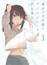 青春ブタ野郎はサンタクロースの夢を見ない 1 Blu-ray【完全生産限定版】 【BLU-RAY DISC】
