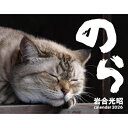 2026 猫カレンダー のら / 岩合光昭 【本】