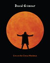 David Gilmour デビッドギルモア / Live At The Circus Maximus. Rome (2Blu-ray) 【BLU-RAY DISC】