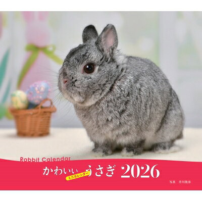 2026年カレンダー かわいいうさぎ 誠文堂新光社カレンダー / 井川俊彦 【本】