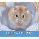 2026年カレンダー かわいいハムスター 誠文堂新光社カレンダー / 井川俊彦 【本】