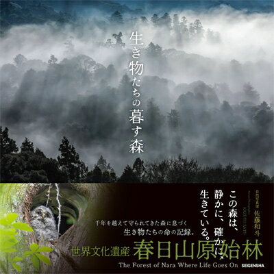 生き物たちの暮す森 / 佐藤和斗 【本】
