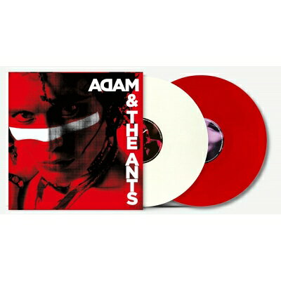 Adam Ant / Singles (åɡۥ磻ȡʥ / 2ȥʥ쥳) LP