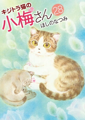 キジトラ猫の小梅さん 28 ねこぱんちコミックス / ほしのなつみ 【コミック】