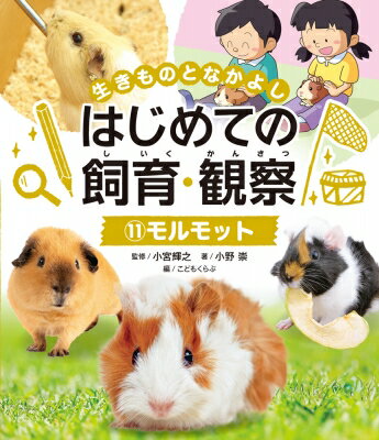 出荷目安の詳細はこちら内容詳細生きものの学校飼育・観察の方法やコツをやさしく解説するシリーズ。生活科や理科における飼育・観察活動の参考資料としてご活用いただけます。この巻では、モルモットをとりあげ、その生態や特徴からはじまり、飼育環境の整え方や日々の世話のコツ、病気・けがの対処法に至るまで、丁寧に解説しています。また、命の大切さや環境保全といった、飼育活動をとおして考えるべきことについても踏み込んで解説しているので、先生方の授業づくりにも生かしていただける内容となっています。本書のパート1では、これから飼うモルモットについての基礎知識をクイズで出題、パート2では、モルモットの生態や飼育・観察のポイントを、たくさんの写真や図解を使って詳しく解説します。そしてパート3では、飼育活動を通してさらに学びを広げます。こうしたきめ細かな構成をとることによって、低学年の子どもにも理解しやすくなっています。