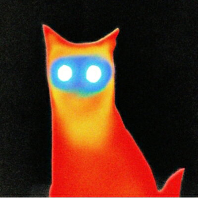 Basement / Wired 【LP】
