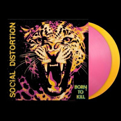 Social Distortion ソーシャルディストーション / Born To Kill (Pink / Yellow Vinyl) 【LP】