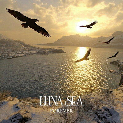 楽天市場】luna seaの通販