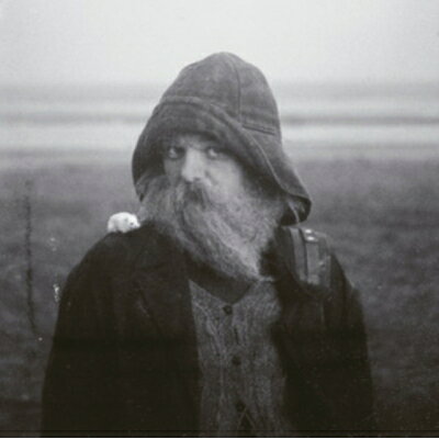 Mary In The Junkyard / Role Model Hermit 【LP】
