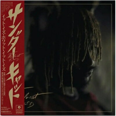 Thundercat / It Is What It Is (帯付 / 輸入盤国内仕様 / レッド・ヴァイナル仕様 / アナログレコード) 【LP】