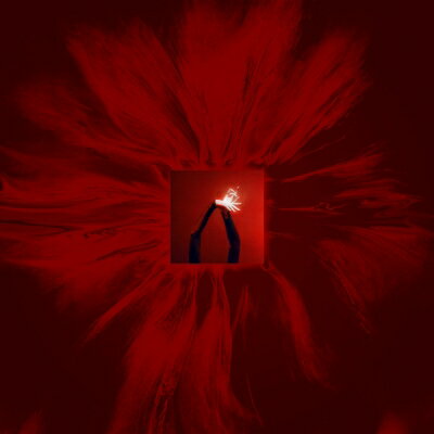Floating Points / Mere Mortals（180g重量盤レコード / Deutsche Grammophon） 【LP】
