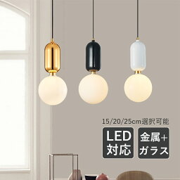 DIY ペンダントライト 北欧 おしゃれ LED対応 ガラス 球状 丸形 つや消し 天井照明器具 キッチン ダイニング 吹き抜け 吊下げライト ダクトレール 球形 シンプル 和風 オシャレ インテリア照明 寝室 玄関 ベッドルーム 食卓用 天井ライト 電気照明 引掛シーリング