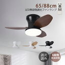 シーリングライト ファンライト LED 照明器具 天井照明 北欧 おしゃれ 軽量 6畳 8畳 10畳 12畳 シーリングファンライト ファン付き照明 リビング照...
