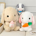 おもちゃ ぬいぐるみ 動物 耳の長いウサギ 大根とウサギ プレゼント 大きい かわいい ふわふわ 柔らかい 就寝用 部屋 子供 幼稚園 子供の日 おすすめ 22cm 子供の日 こどもの日 プレゼント 2024 お歳暮 ギフト