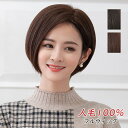 ウィッグ 女性 ショート 人毛100% ボブ 髪型 自然 かわいい ファッション フルウィッグ レディース おしゃれ 可愛い 小顔効果 シニア ヘアウィッグ 脱毛症 白髪隠す ウィッグネット付 混色 ブラック ブラウン つむじ 分け目 かつら かぶるだけ 仮装 コスプレ かつら 送料無料